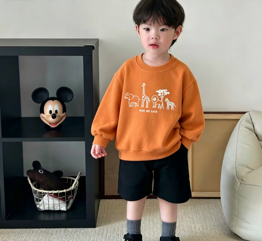 Baby Kids Casual Sweatshirt Wi - Baby Zebra Clothing ulasan dan harga